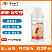 �����_�}��͡ 20%���������x�����{�S�l���׌����rș�r�Y���x��