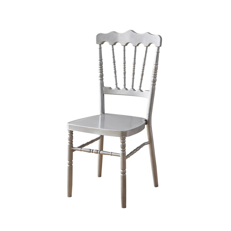 아이언 나폴레옹