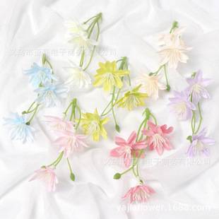 3���m��ˮ�ɼٻ����滨�߼��б��������Wʿñ���hdiy���ϻ�c�û�