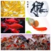 8 cm, 5 colors