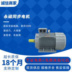 三相 380V 永久磁石同期モーターサーボモータードライバー可変周波数速度コントローラー送風機ウォーターポンプ 22/30kw