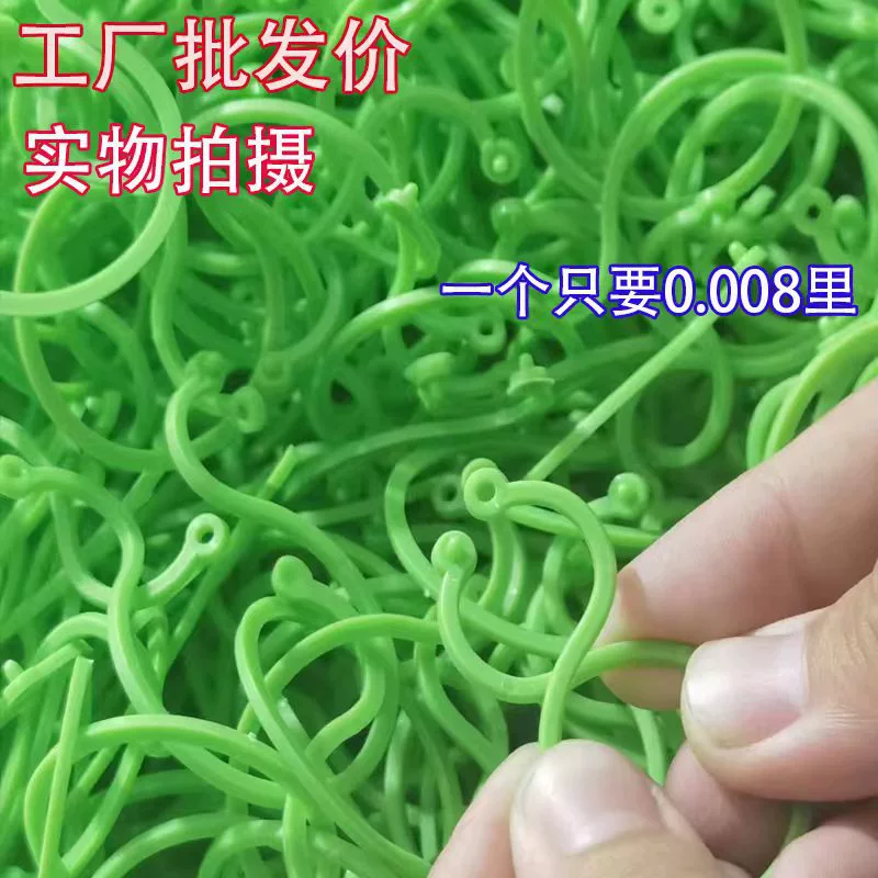 Садоводство пряжка с 8 словами огород зеленое растение помидор Виноградная лоза вязка пластиковый зажим овощной сад растение пряжка с восемью словами фиксированная пряжка