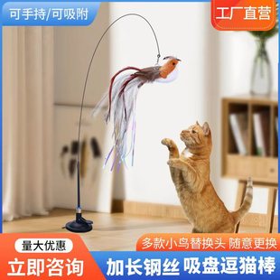 �羳����С�B䓽z�L�U��؈����ë��Q�^���P����؈��ߌ�����Ʒ
