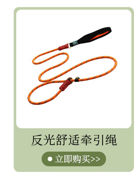 General Position_01_02