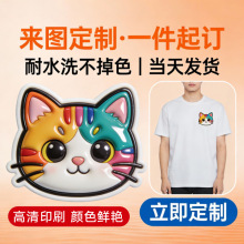 热转印烫画贴衣服柯式白墨烫画印花图案3D立体烫画定制