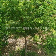 �uצ���uצ�����l�uצ�ʵ����uצ�����uצ�ʃr��