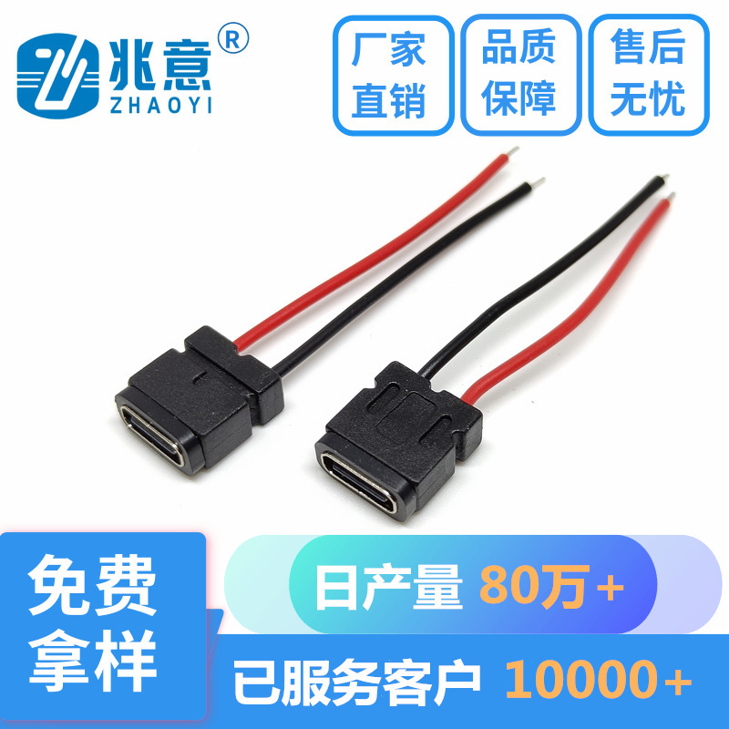 Type-C 2Pin Waterproof Female Socket with Cable, Customizable Cable Length, Waterproof Ipx6 Level, Small Household Appliance Charging C Port