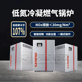 其它工业锅炉;燃气锅炉;余热锅炉