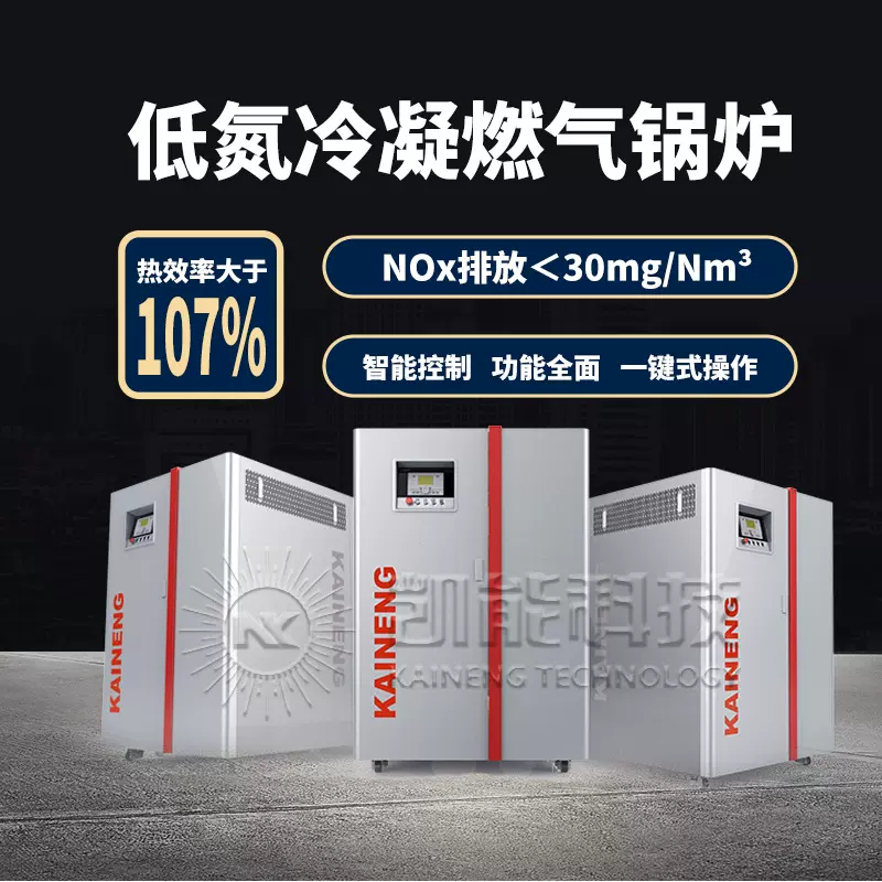 燃气热水锅炉酒店种养殖行业供暖锅炉天然气采暖炉设备