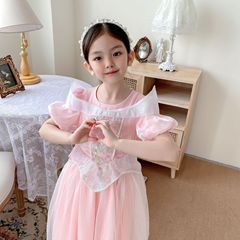 DGniuniu廠家2023夏裝女童連衣裙六一節生日禮服網紗蓬蓬裙公主裙