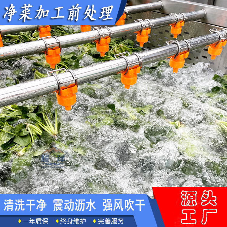 野菜加工清洗流水线 青菜前处理设备 商用大型鼓泡洗菜机 洗果机