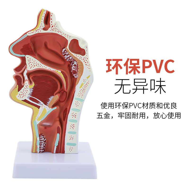 �����ǻ��ǻ�ʺ�����ʸ״ �ڱǺ� ����ģ�� ���Ǻ���ģ��  ����