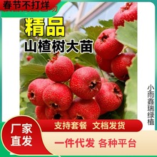 һ�����l�����ɽ高��������Ұɽ��tˮ������箔��Y���ϱ���