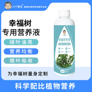 The factory supplies eight old man happy Tree special nutrient solution for household flowers and green plants hydroponic universal plants