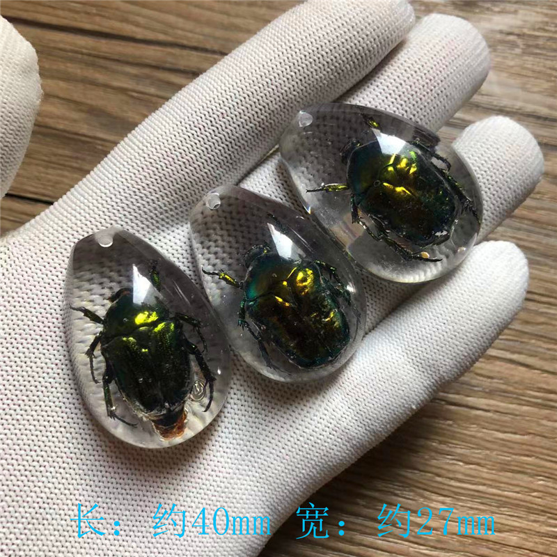 儿童挖掘考古昆虫标本 合成树脂琥珀昆虫 散装水滴盲盒标本现货|undefined