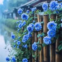 ���羳��̹�؛�������Nޱ���N�����ļ����N�_���¼�����ֲ�ﻨ��