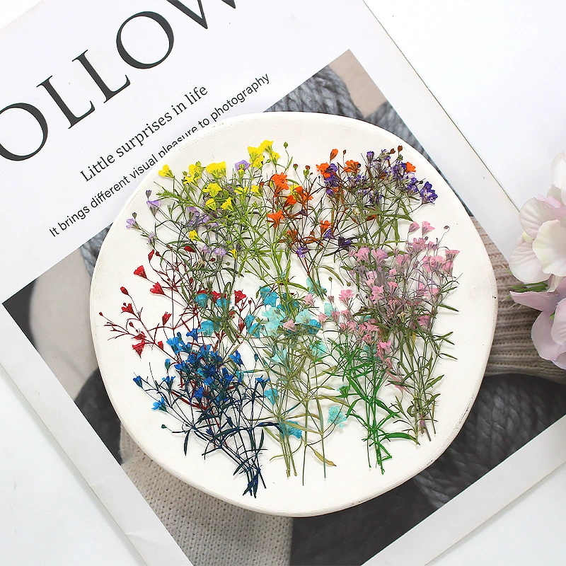 Набор для творчества из сухоцветов гипсофилы: натуральные прессованные цветы, растения, декоративные элементы, ручная работа, мелкая трава