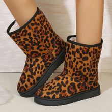 2025Q¿aѩѥy36-42aɼɁRdl