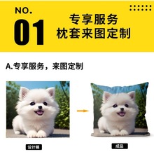 定制十字绣枕套卡通人物动物照片抱枕定制手工绣车载沙发靠枕抱枕