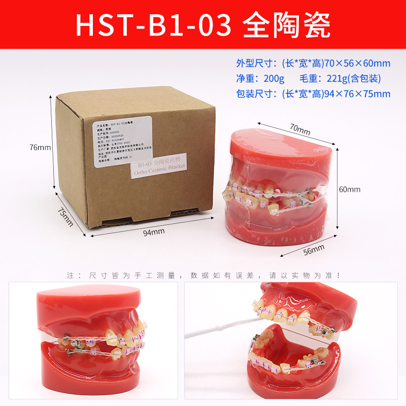Modelo de ortodoncia dental semi-metal semibrackets Práctica de corrección de molde dental estándar Comunicación médico-paciente Modelo de enseñanza Modelo dental