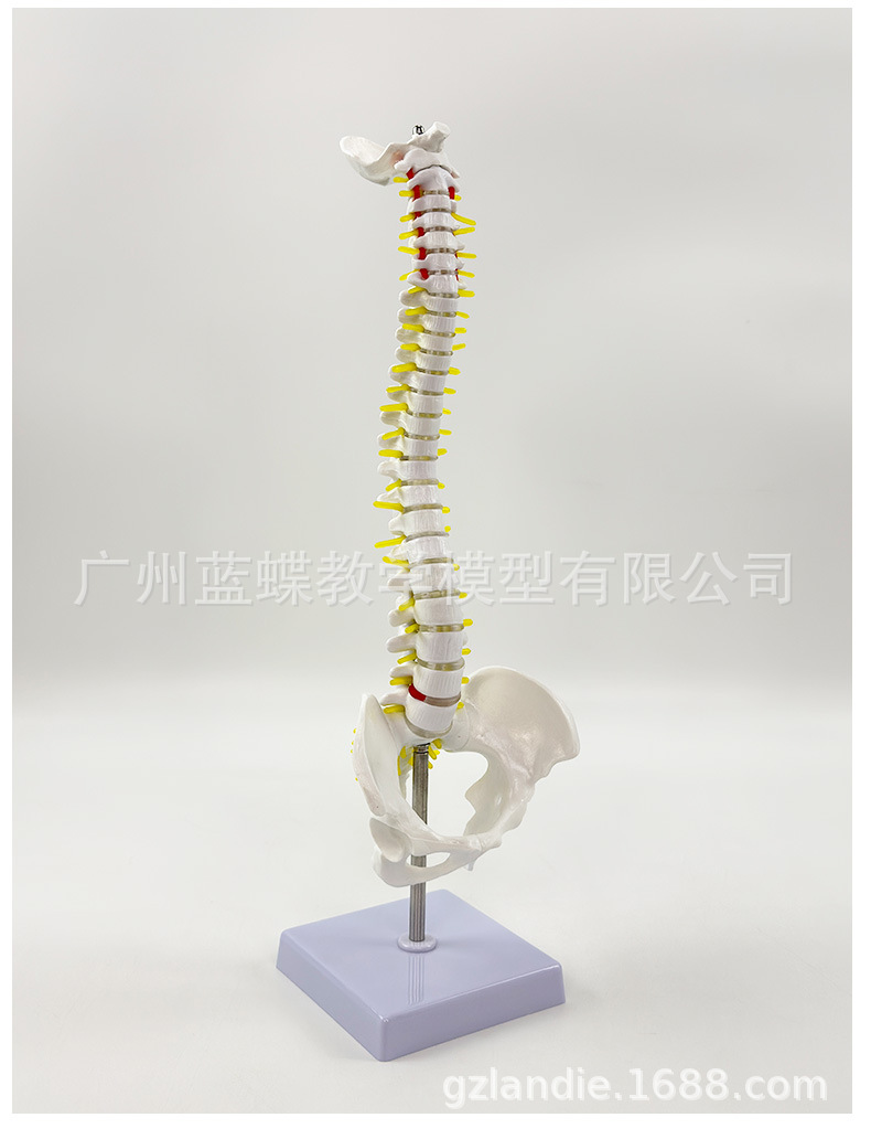 详情_16