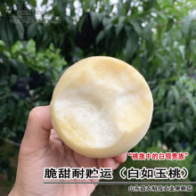 新品种桃树树苗特大嫁接白如玉桃树大果浓甜南方北方种植当年结果