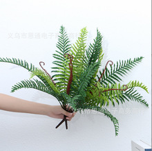 ����Gֲ��˹�~�F���~��ާ�ֲ�����ļٻ��٘侰�^�@���҃���