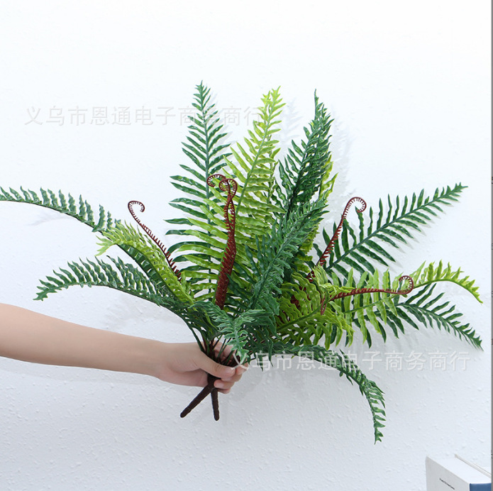 仿真绿植波斯叶铁树叶草蕨类植物墙面配材假花假树景观园林室内外