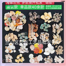 ?ؐ�� �~���쾰40�������l��ؐС��ؐ�~���쾰���к��b� ��