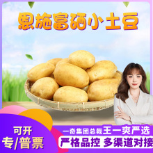 【严选】湖北恩施富硒黄皮小土豆代发3斤新鲜应季高山黄心马铃薯