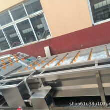 连续式芋头红薯清洗机多功能大型秋葵清洗设备韭菜花气泡清洗机