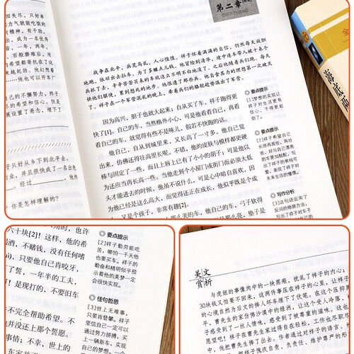 Camel Xiangzi Original Edition by Lao She, Grade 7, Twenty Thousand Leagues Under the Sea, Grade 7 Down, Classic Novel Books