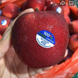 �����m�ʺ��O��NZ Queen �tõ���O��4122