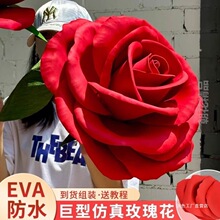 ���w����󻨼���evaõ�廨���滨�b�c���͵��߼tɫ�����ĭ