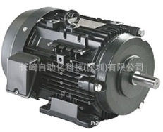 日本东芝电机IKH3-FCKLA21E-0.75kW- 2P-200V议价