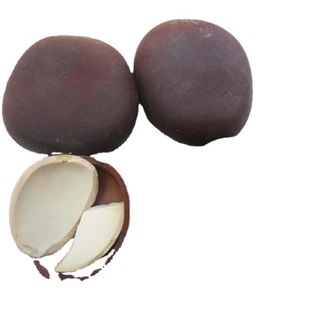 �^������ ��ș�� ľ���� �}���� ������ ���� ���P�� ��������