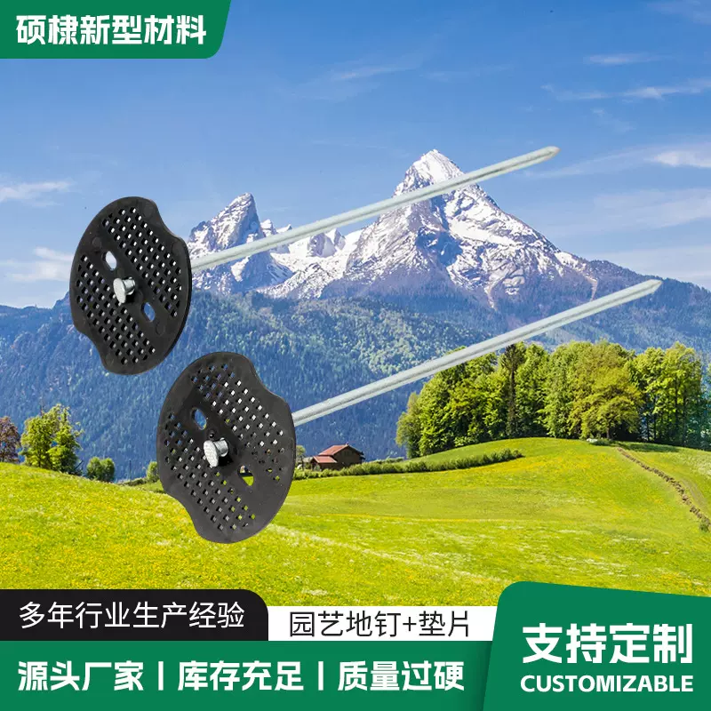地钉加长钢钉镀锌地钉草坪地膜钉垫片防草布加长直钉20cm加长铁钉