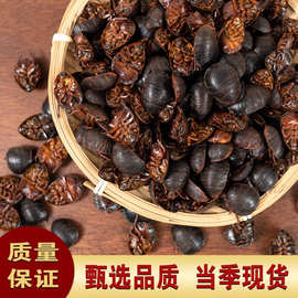 土元中药材土鳖虫地鳖虫土元虫干食用500g非活的免费打土元粉散装