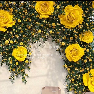 ����õ�廨���Nޱ�����ٻ����ٗl���{�ܵ��b����p�@���ϻ��ڒ�