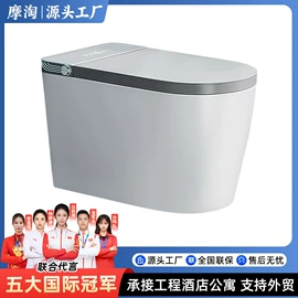 智能马桶;普通马桶