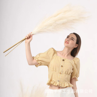 �羳ͬ������JȔ ���l���N�����JȔ����Ȕ�bٻ���������˹��