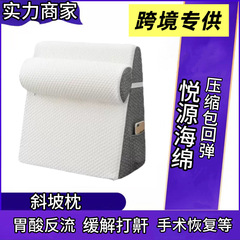 跨境楔形斜坡枕睡眠胃酸反流术后睡觉打鼾老人护理宿舍办公靠背