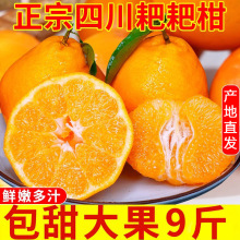 �Ĵ���Ҋ�ҰҸ����θ����˸����rˮ��9�����䮔������ٽ��b���]