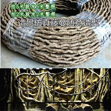 ����������ָ��쾰�b���ɭ���ٗl���@�־G��������ˇ�쾰����