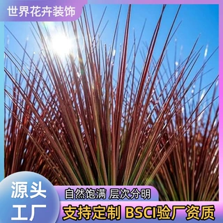 仿真芦苇洋葱草单支仿真草芦苇草假绿植造景摆件高级感客厅装饰
