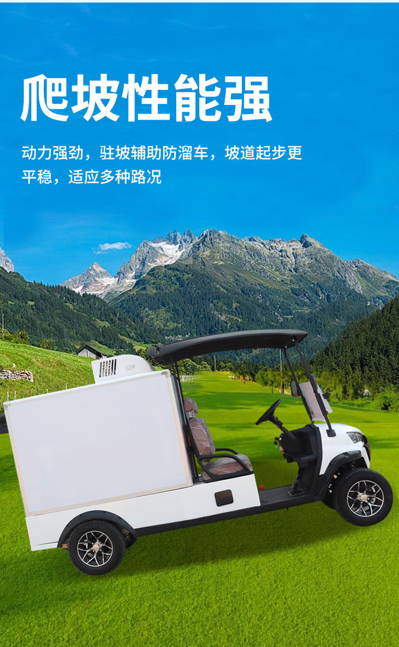 Enclosed Box-Type Four-Wheel Cargo Truck, Multi-Door Electric Truck, Small Foreign Trade Export Van, Electric Food Delivery Truck
