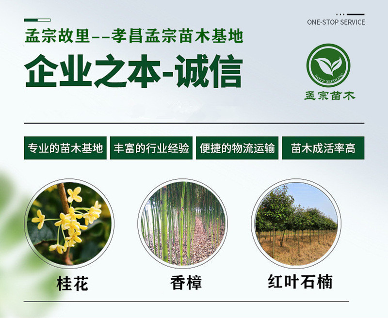 0f4e90d6105b692a024e206a3b01bb