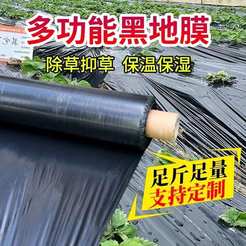 Vegetales agrícolas Huerto negro película escarda espesado película de plástico fresa invernadero plantación anti-hierba película hidratante aislamiento