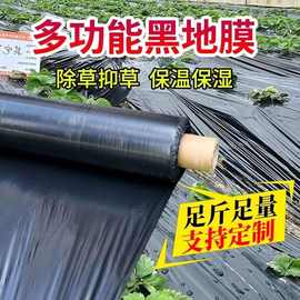黑地膜除草加厚塑料薄膜草莓大棚种植农用蔬菜果园防草膜保湿保温