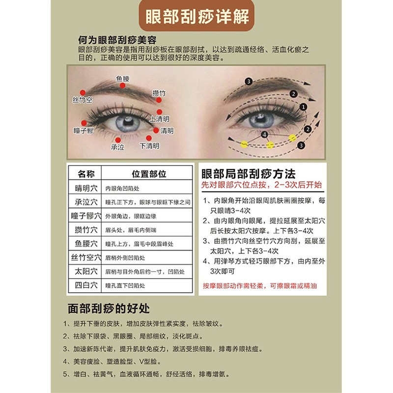 Acupoint Chart Body Meridian Map A5 Face Head Massage Reference Poster for Adults key features